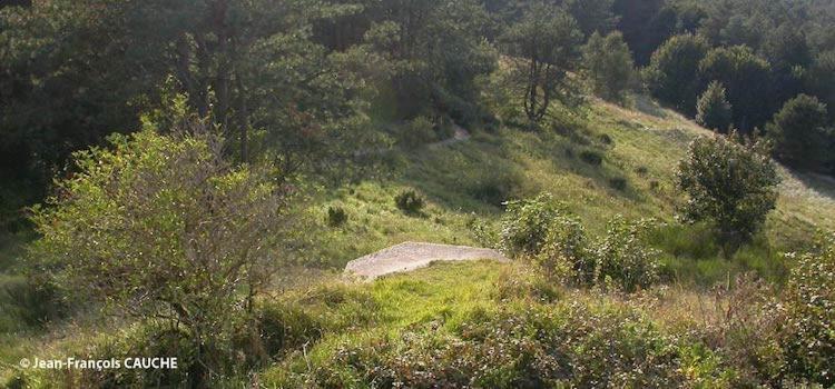 Camping Le Cote D'Opale Cucq Buitenkant foto